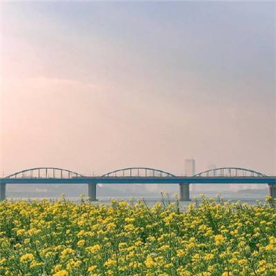 奥特曼超格斗进化游戏下载