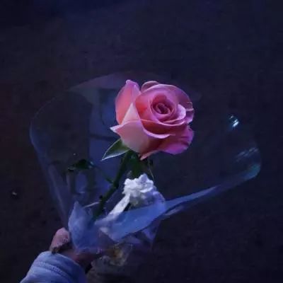 剑斩仙魔红包版手游下载